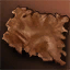Bear Skin