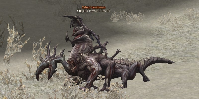 Crippled Physical Insect eternal