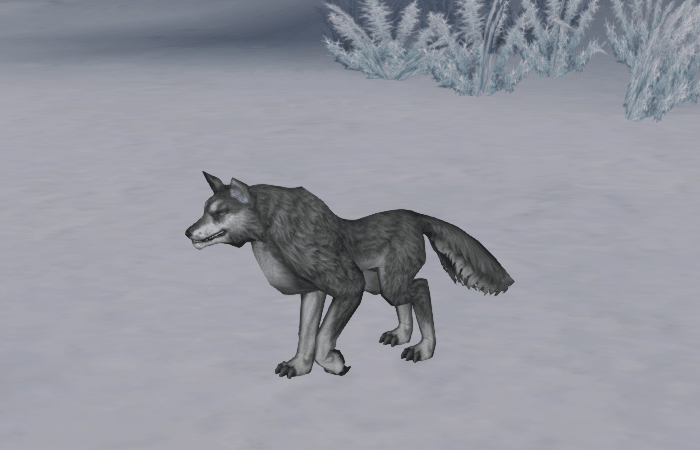 Волк Wolf
